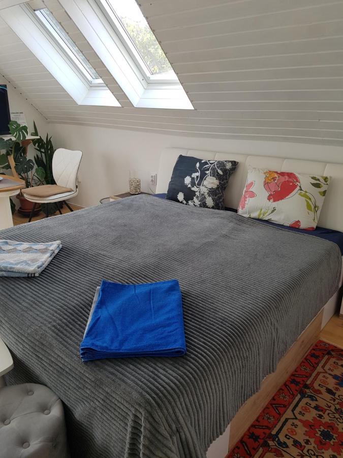 Csaladi Haz Apartment Budapest Ngoại thất bức ảnh