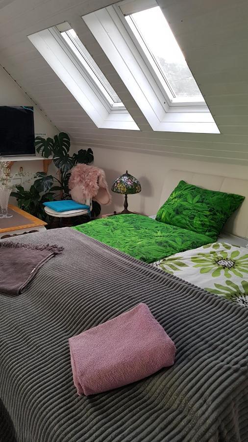 Csaladi Haz Apartment Budapest Ngoại thất bức ảnh