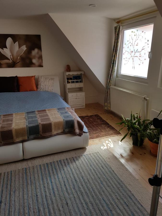 Csaladi Haz Apartment Budapest Ngoại thất bức ảnh
